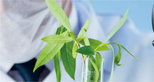 Development Platform of Bioactive Molecules & Ingredients from Globle Medicinal Plants